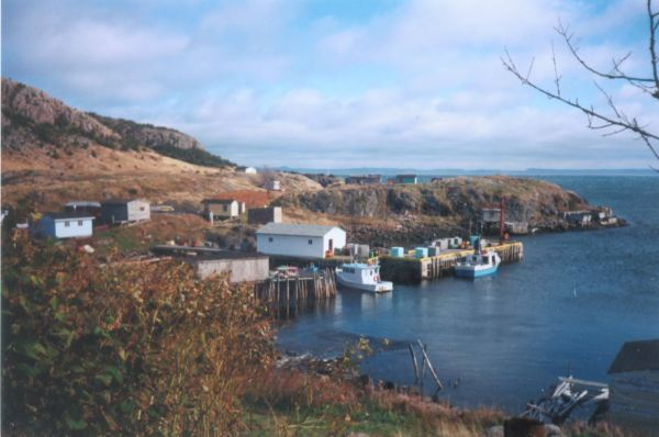 483: Red Island harbour. The government wharf. (circa 2000) [courtesy of Madonna (Bishop) Mulrooney]